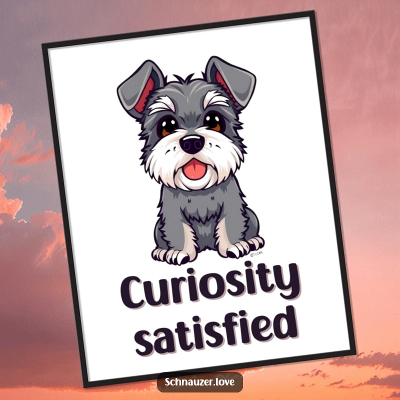 Funny Schnauzer Poster: A schnauzer with large floppy ears tilts its head up inquisitively, creating a moment of adorable, humorous contemplation.