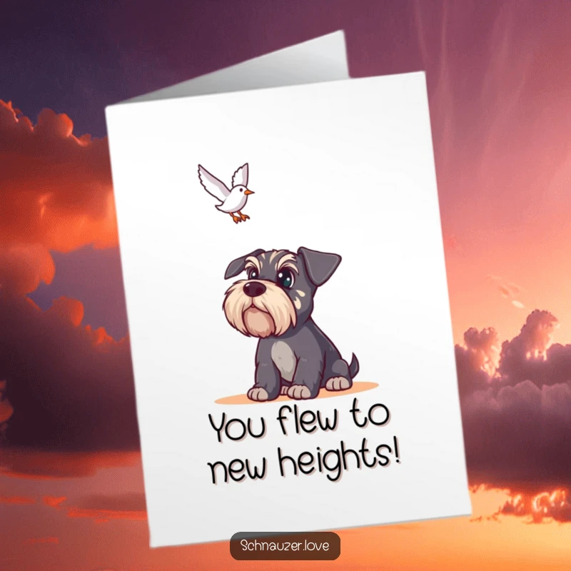 Free Printable Schnauzer Congratulations Card: An alert schnauzer with wide eyes gazes upwards at a flying bird.